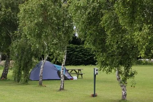 Camping in Suffolk at Outney Meadow